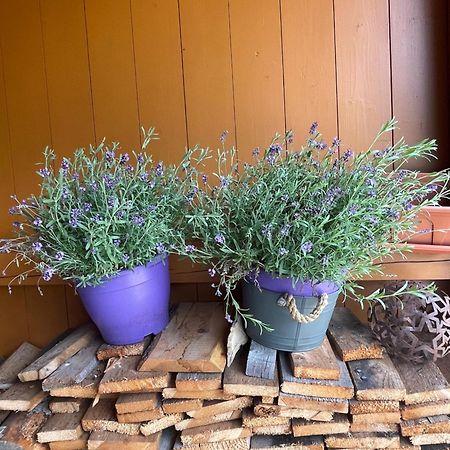 Chalet Yulia Zell am See Ngoại thất bức ảnh