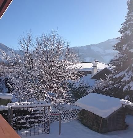 Chalet Yulia Zell am See Ngoại thất bức ảnh