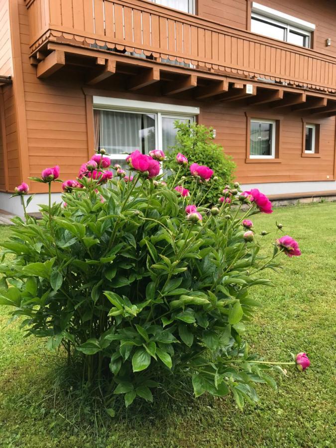 Chalet Yulia Zell am See Ngoại thất bức ảnh