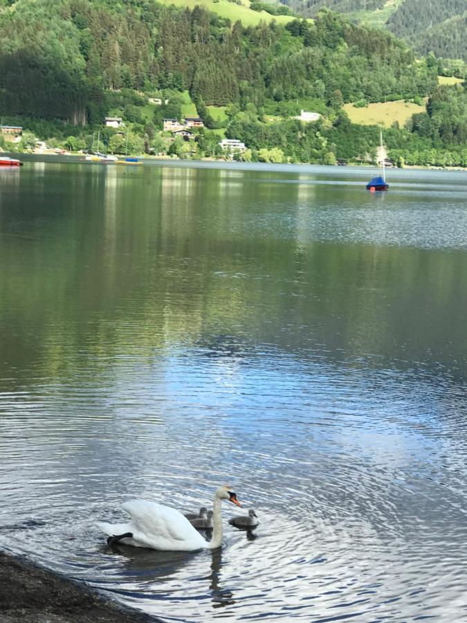 Chalet Yulia Zell am See Ngoại thất bức ảnh
