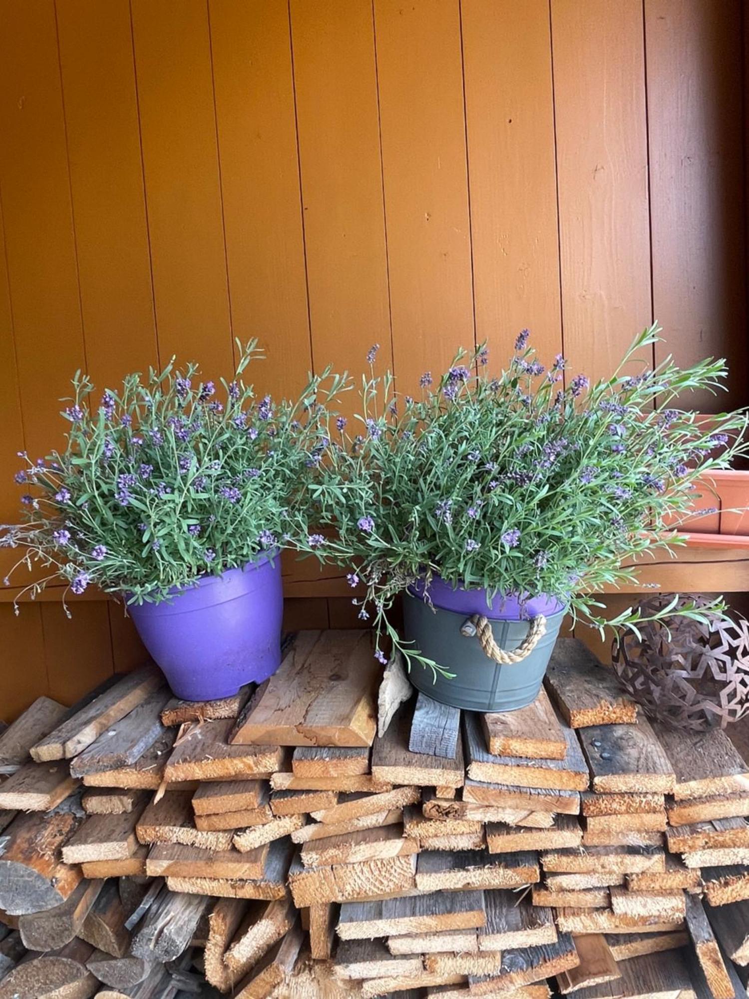 Chalet Yulia Zell am See Ngoại thất bức ảnh